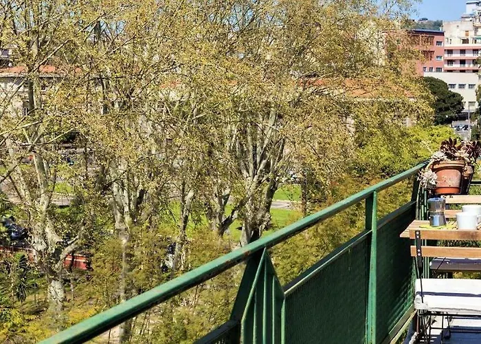 Centro-bellini